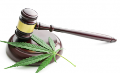 Is CBD Legal?